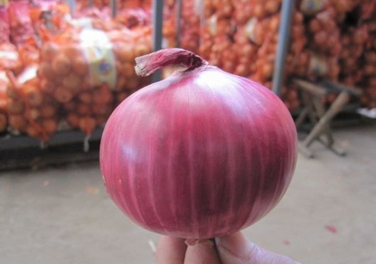 Зеркала гидры onion ramp onion